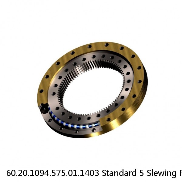 60.20.1094.575.01.1403 Standard 5 Slewing Ring Bearings