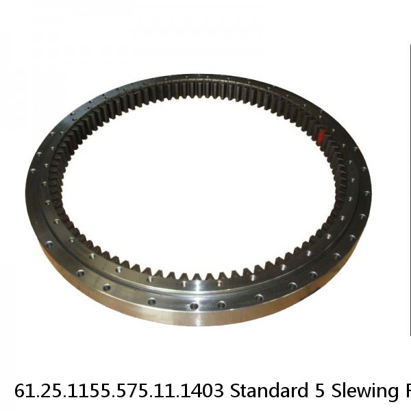 61.25.1155.575.11.1403 Standard 5 Slewing Ring Bearings