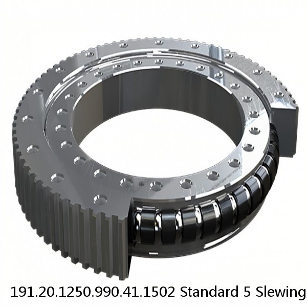 191.20.1250.990.41.1502 Standard 5 Slewing Ring Bearings